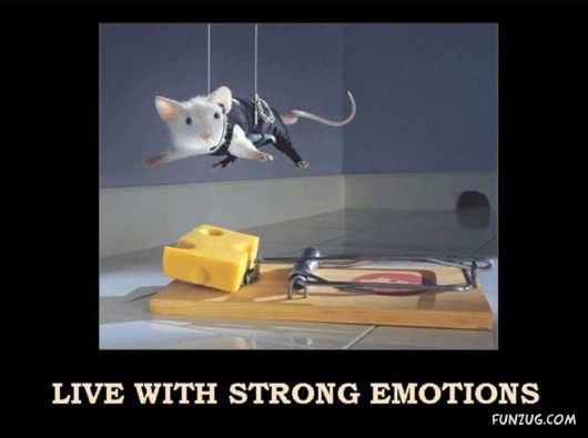 Things That Must Be Done This Year Only