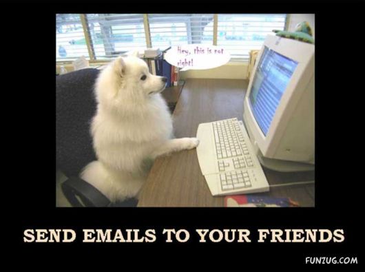 Things That Must Be Done This Year Only