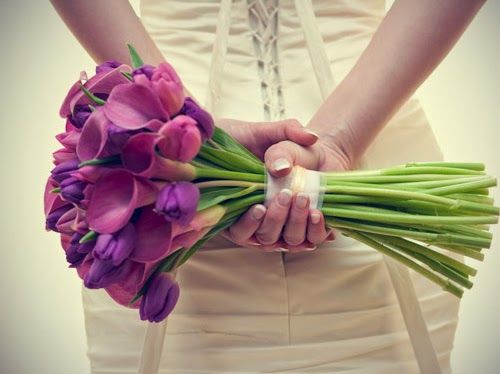 The Pre-Wedding Fitness Plan