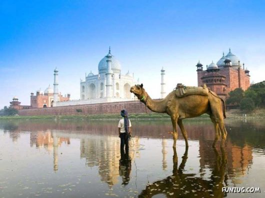 Have a close look at 