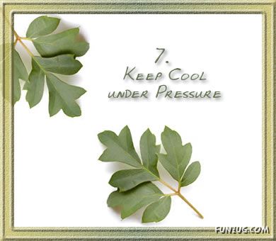 18 Resolutions for New Year