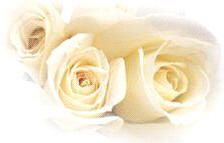 18 Resolutions for New Year