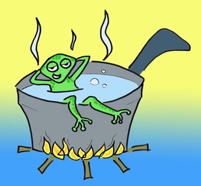 the boiled frog syndrome marty rubin