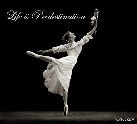 This is What Life Is