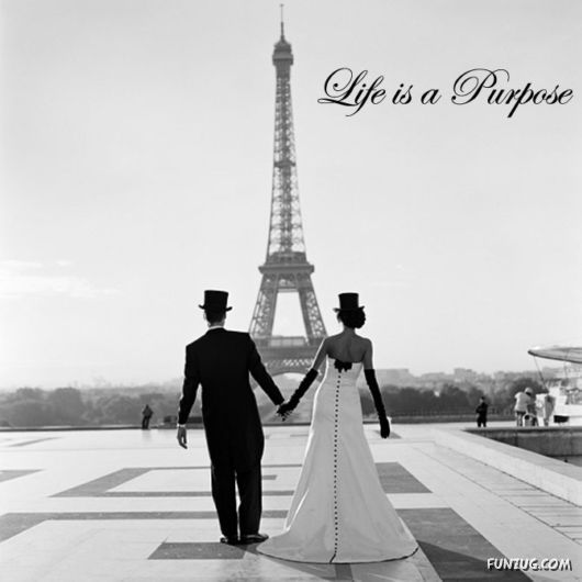 This is What Life Is