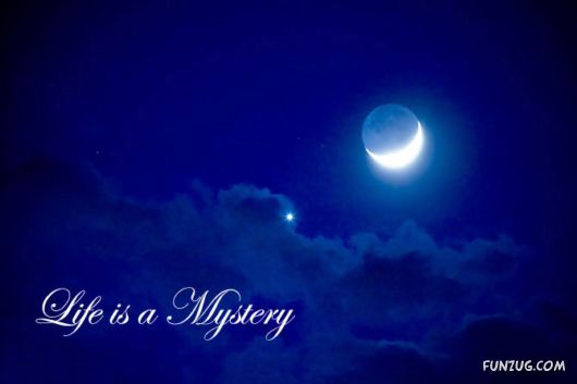 This is What Life Is