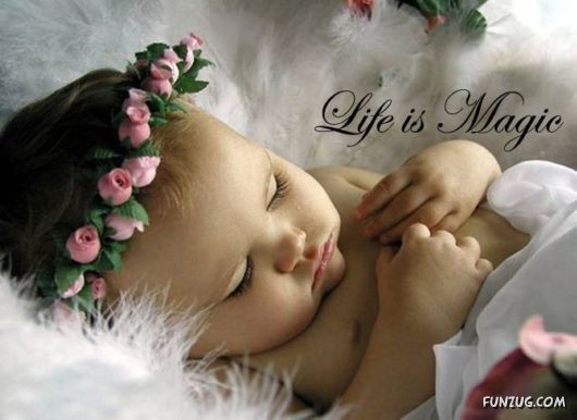 This is What Life Is