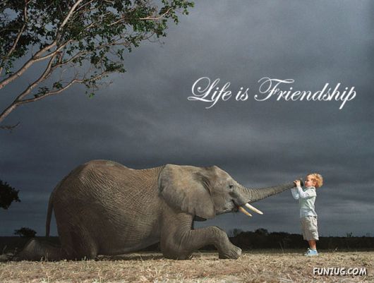 This is What Life Is