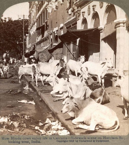 The Incredible India: 100 Years Back (Rare Pictures)