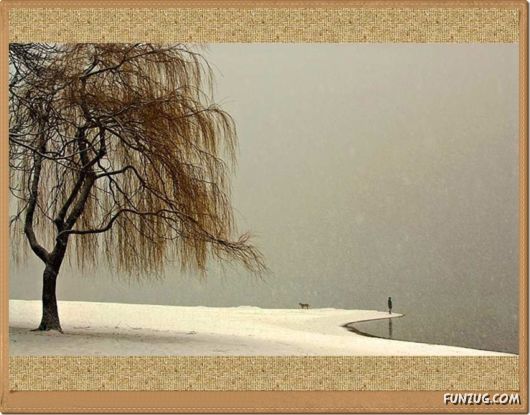 Amazing Photos of People Around the World