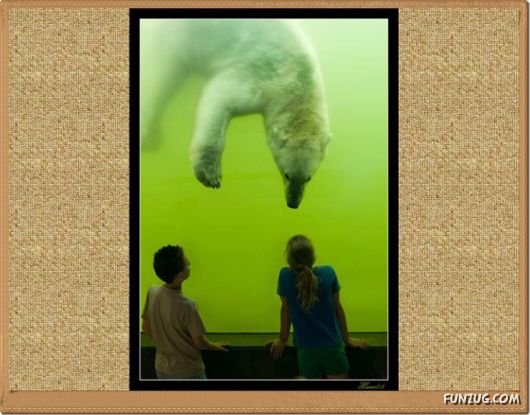 Amazing Photos of People Around the World