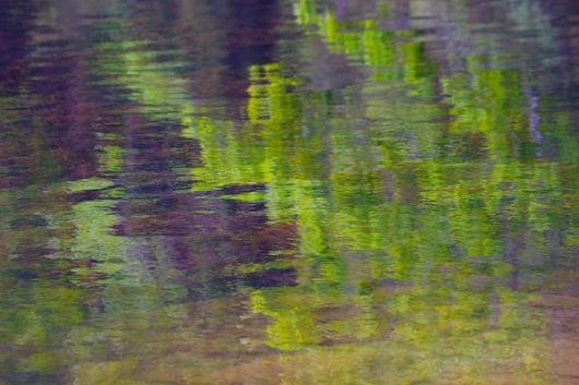 The Amazing Art of Nature