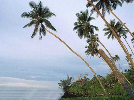 The Amazing Art of Nature