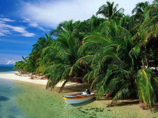 The Amazing Art of Nature