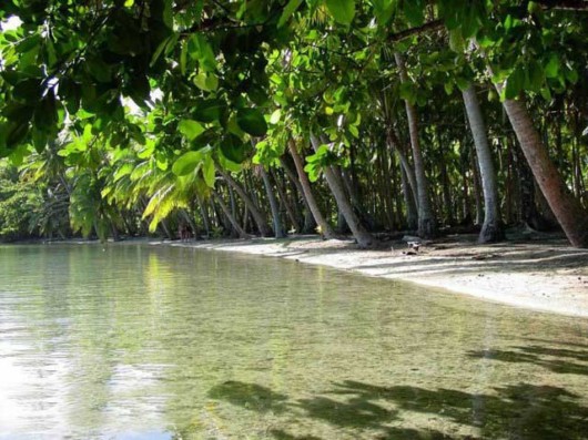 The Amazing Art of Nature