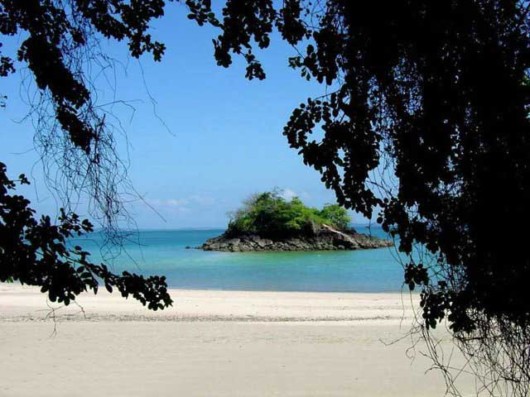 The Amazing Art of Nature