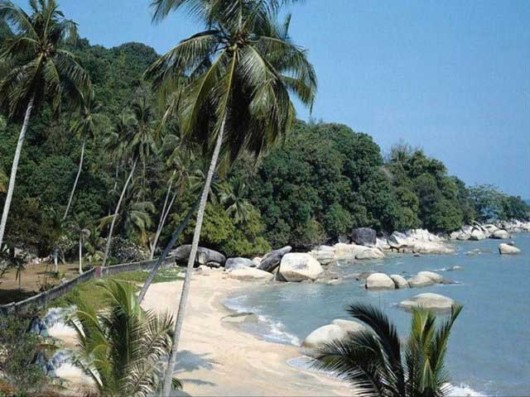 The Amazing Art of Nature