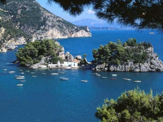 The Amazing Art of Nature