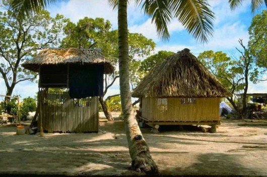 The Amazing Art of Nature