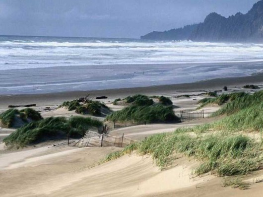 The Amazing Art of Nature