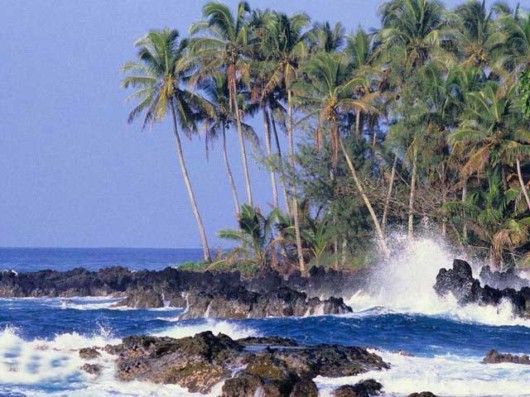 The Amazing Art of Nature