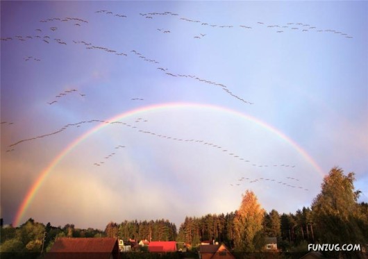 Autumn in Latvia (Russia)