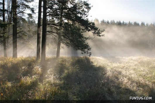 Autumn in Latvia (Russia)