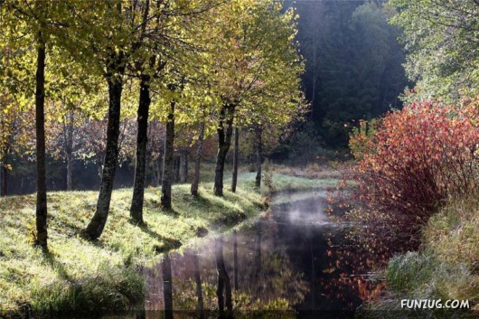 Autumn in Latvia (Russia)
