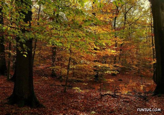 This is What We Call Autumn