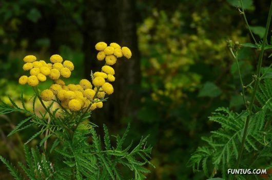 This is What We Call Autumn