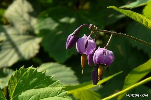 This is What We Call Autumn
