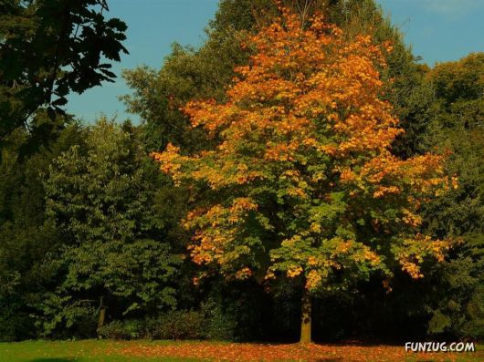 This is What We Call Autumn