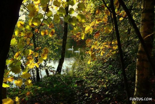 This is What We Call Autumn