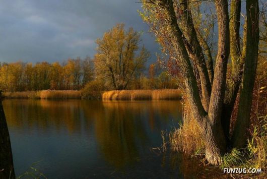 This is What We Call Autumn