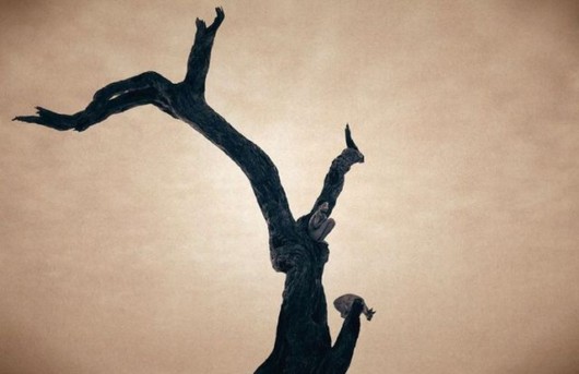 Being in Touch With the Nature