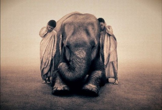 Being in Touch With the Nature