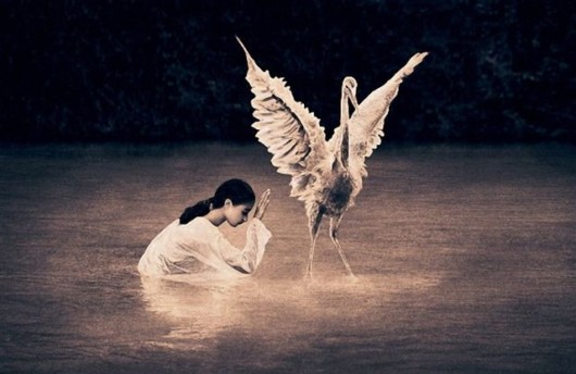 Being in Touch With the Nature