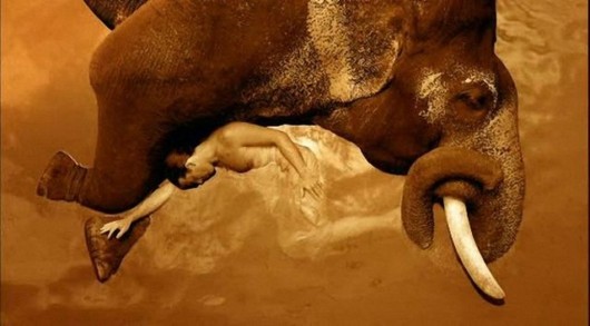 Being in Touch With the Nature