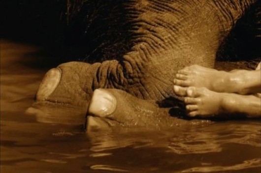 Being in Touch With the Nature