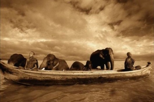 Being in Touch With the Nature