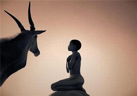 Being in Touch With the Nature