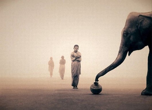 Being in Touch With the Nature