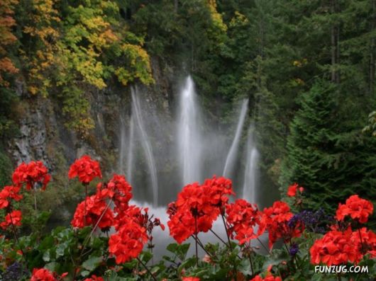 Beautiful Gardens In Full Bloom