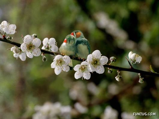 Beautiful Gardens In Full Bloom