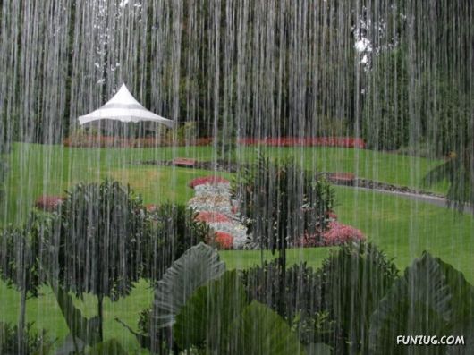 Beautiful Gardens In Full Bloom