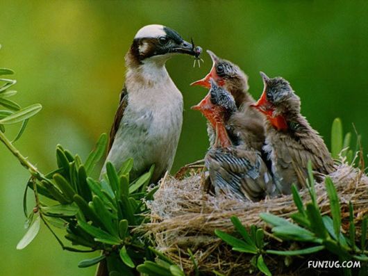 Beautiful Gardens In Full Bloom