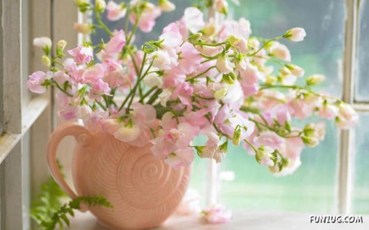 Amazing Colours Of Nature