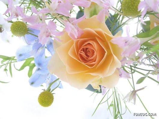 Amazing Colours Of Nature