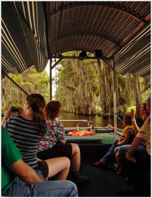 Incredible Artistic Cypress Caddo Lake