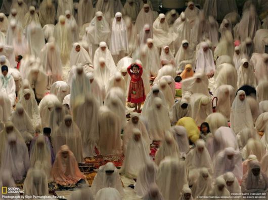 National Geographic Xclusive Scenes